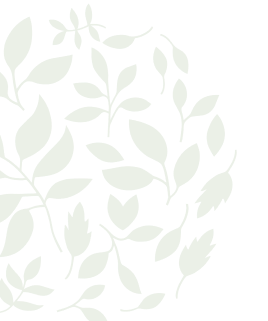 Pngtree—minimalistic-nature-hand-drawn-green